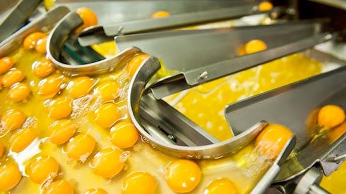 Food Processing